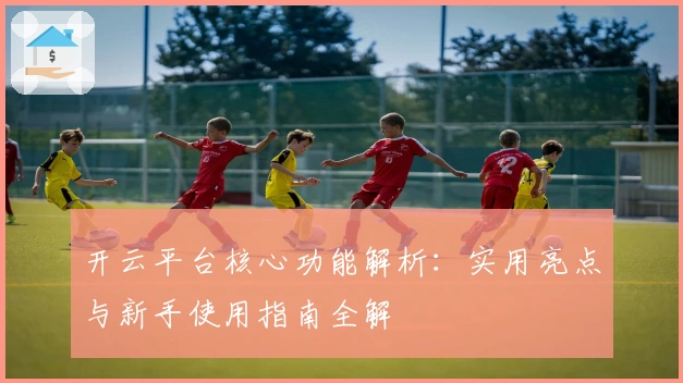 开云平台核心功能解析：实用亮点与新手使用指南全解