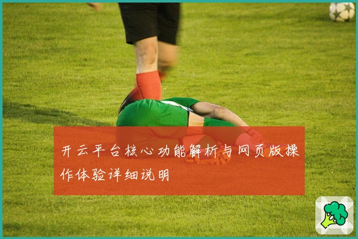 开云平台核心功能解析与网页版操作体验详细说明